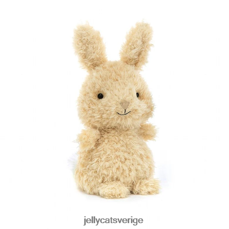 Jellycat bok vem kan jag hitta bok och liten kanin honung 4206LT737