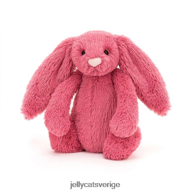 Jellycat leksak blyg cerise bunny rose 4206LT496