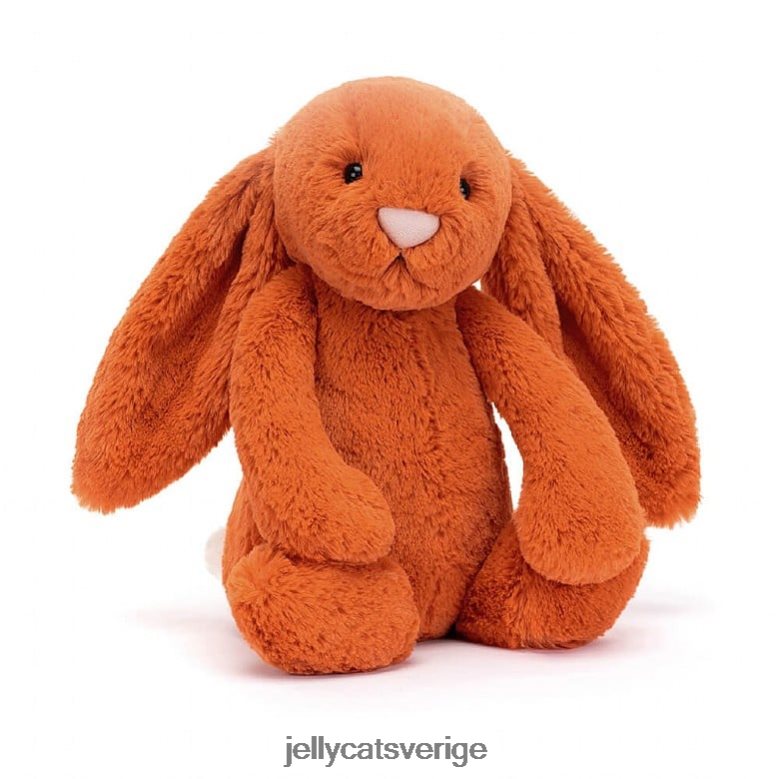 Jellycat leksak blyg mandarin bunny orange 4206LT131
