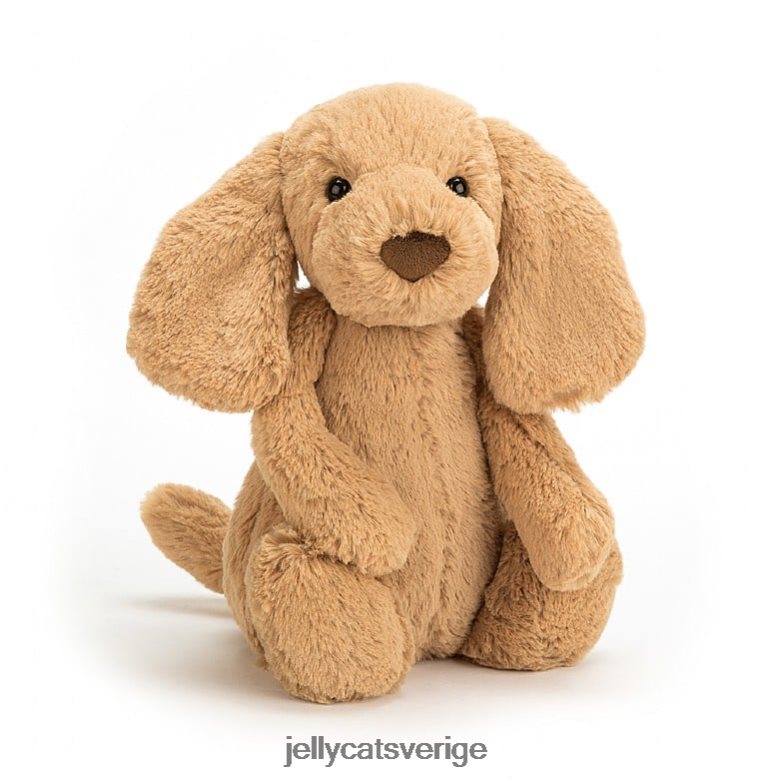Jellycat leksak blyg kola valp beige 4206LT417