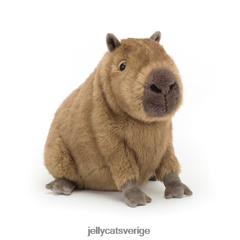 Jellycat leksak clyde capybara brun 4206LT678