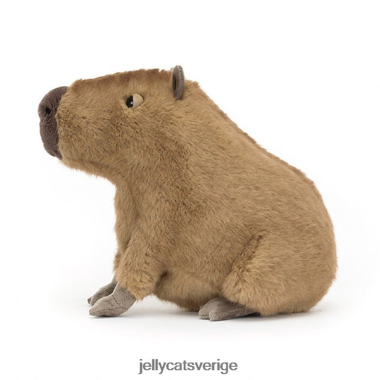 Jellycat leksak clyde capybara brun 4206LT678
