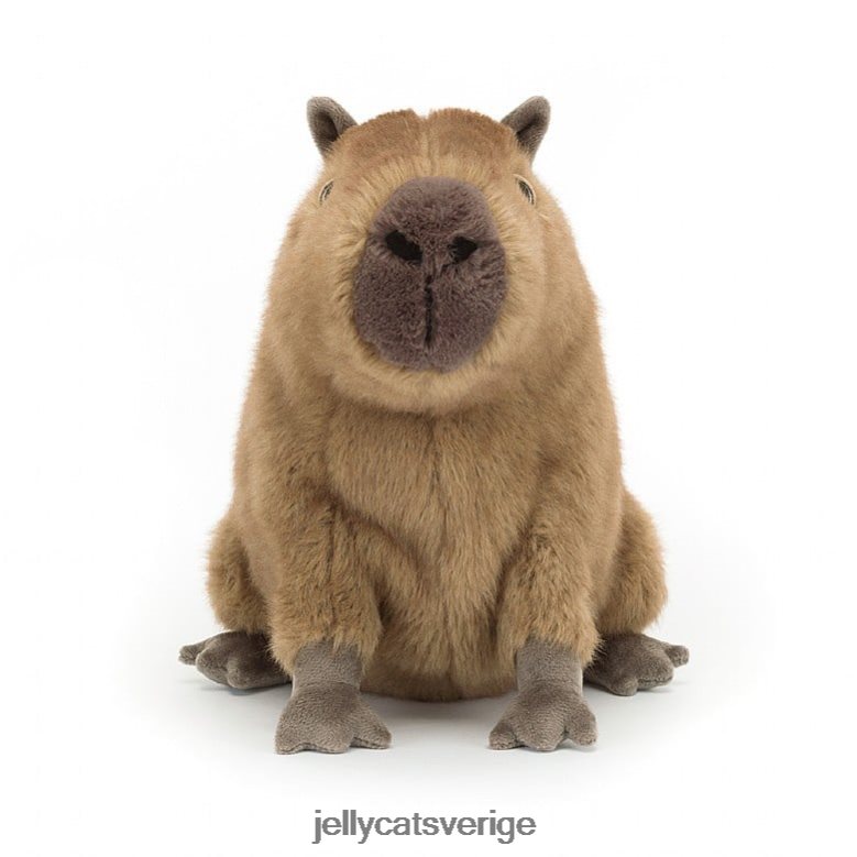 Jellycat leksak clyde capybara brun 4206LT678