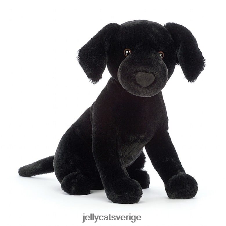 Jellycat leksak pippa labrador svart 4206LT125