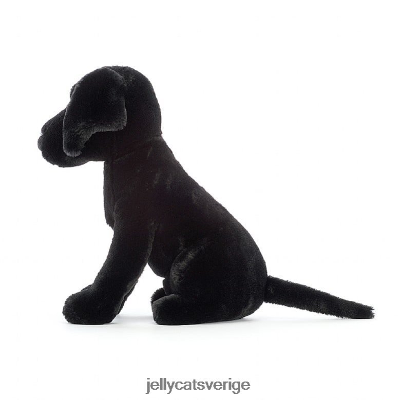 Jellycat leksak pippa labrador svart 4206LT125